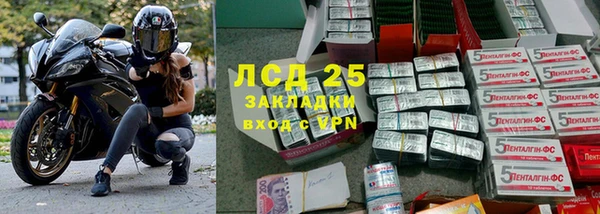 бошки Богданович