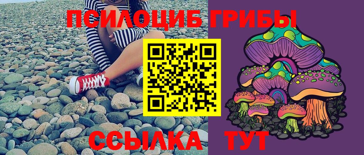 Богородицк  Псилоцибиновые грибы мухоморы  Вход с VPN 